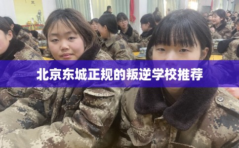 北京东城正规的叛逆学校推荐