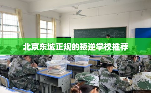 北京东城正规的叛逆学校推荐