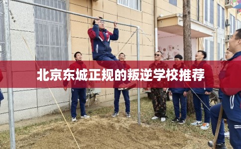 北京东城正规的叛逆学校推荐