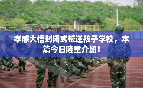 孝感大悟封闭式叛逆孩子学校，本篇今日隆重介绍！