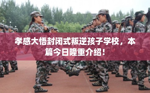 孝感大悟封闭式叛逆孩子学校，本篇今日隆重介绍！