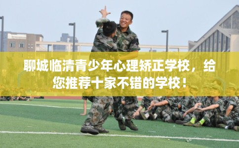 聊城临清青少年心理矫正学校，给您推荐十家不错的学校！