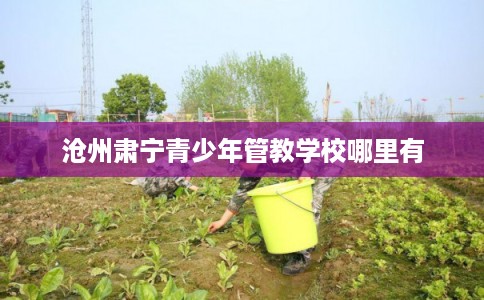 沧州肃宁青少年管教学校哪里有