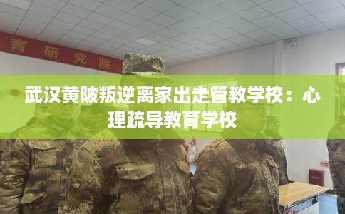 武汉黄陂叛逆离家出走管教学校:心理疏导教育学校 武汉黄陂叛逆离家出走管教学校:心理疏导教育学校