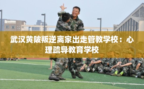 武汉黄陂叛逆离家出走管教学校：心理疏导教育学校