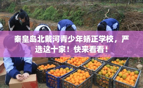 秦皇岛北戴河青少年矫正学校，严选这十家！快来看看！