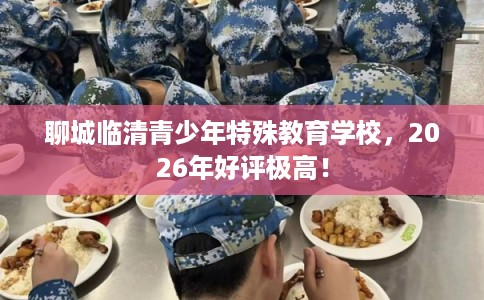 聊城临清青少年特殊教育学校，2026年好评极高！