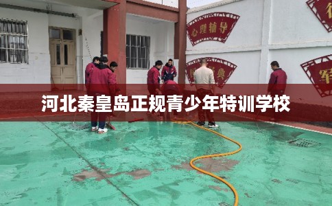 河北秦皇岛正规青少年特训学校