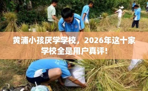 黄浦小孩厌学学校，2026年这十家学校全是用户真评!