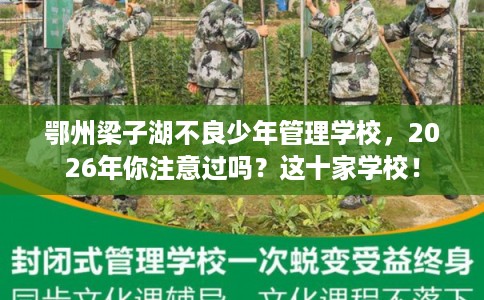 鄂州梁子湖不良少年管理学校，2026年你注意过吗？这十家学校！