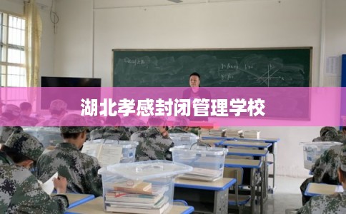 湖北孝感封闭管理学校
