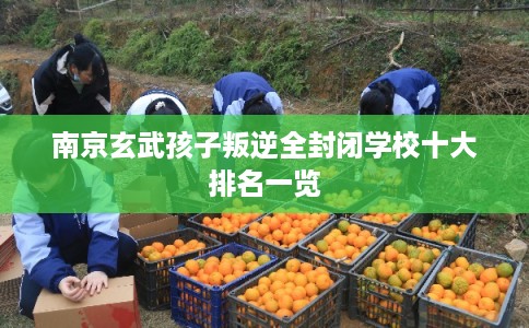 南京玄武孩子叛逆全封闭学校十大排名一览