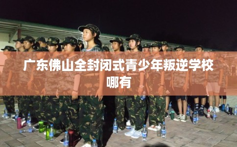 广东佛山全封闭式青少年叛逆学校哪有