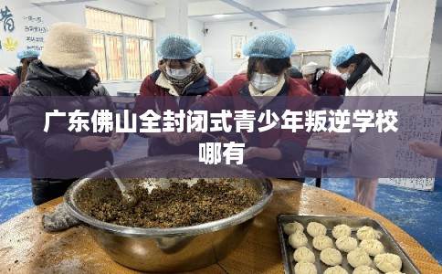 广东佛山全封闭式青少年叛逆学校哪有