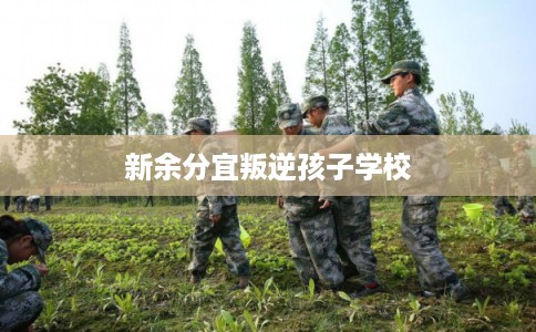 新余分宜叛逆孩子学校