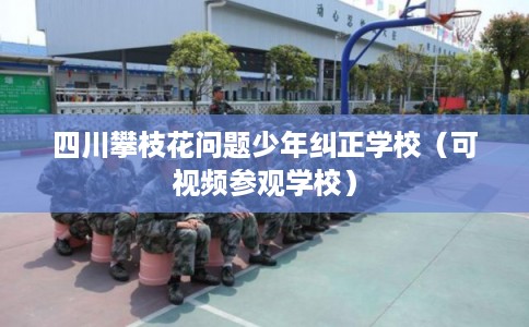 四川攀枝花问题少年纠正学校(可视频参观学校) 四川攀枝花问题少年纠正学校(可视频参观学校)