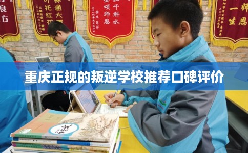 重庆正规的叛逆学校推荐口碑评价 重庆正规的叛逆学校推荐口碑评价