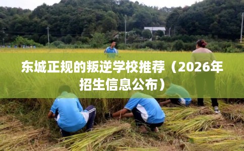 东城正规的叛逆学校推荐（2026年招生信息公布）