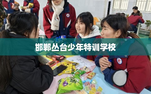 邯郸丛台少年特训学校