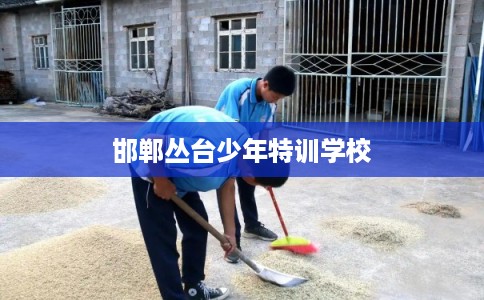 邯郸丛台少年特训学校