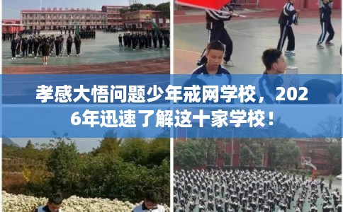 孝感大悟问题少年戒网学校，2026年迅速了解这十家学校！