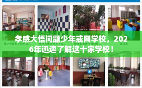 孝感大悟问题少年戒网学校，2026年迅速了解这十家学校！