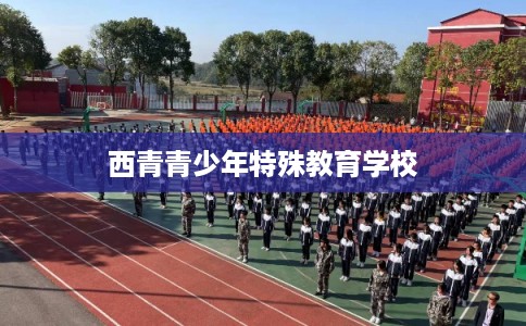 西青青少年特殊教育学校