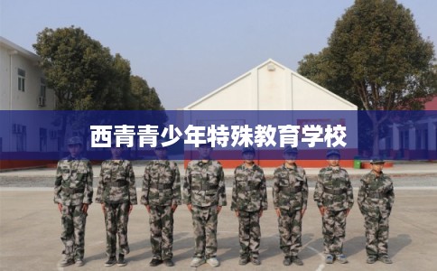 西青青少年特殊教育学校