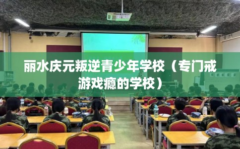 丽水庆元叛逆青少年学校（专门戒游戏瘾的学校）
