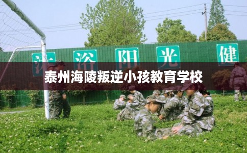 泰州海陵叛逆小孩教育学校