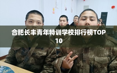 合肥长丰青年特训学校排行榜TOP10