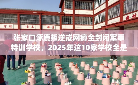 张家口涿鹿叛逆戒网瘾全封闭军事特训学校，2025年这10家学校全是用户真评!