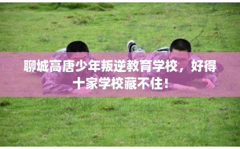 聊城高唐少年叛逆教育学校，好得十家学校藏不住！