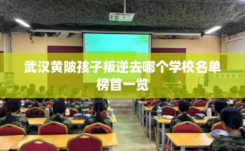 武汉黄陂孩子叛逆去哪个学校名单榜首一览