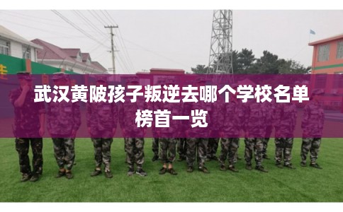 武汉黄陂孩子叛逆去哪个学校名单榜首一览