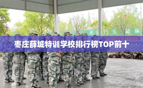 枣庄薛城特训学校排行榜TOP前十 枣庄薛城特训学校排行榜TOP前十