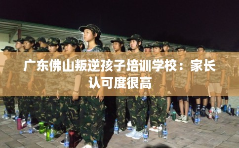 广东佛山叛逆孩子培训学校：家长认可度很高