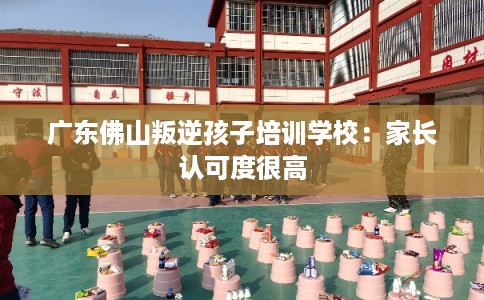 广东佛山叛逆孩子培训学校：家长认可度很高