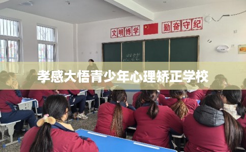 孝感大悟青少年心理矫正学校