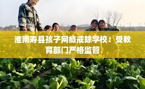 淮南寿县孩子网瘾戒除学校：受教育部门严格监管