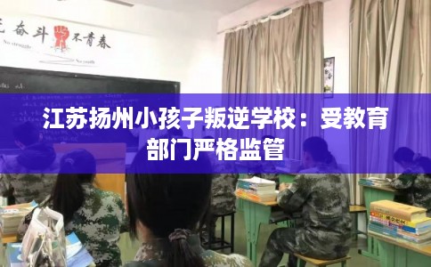江苏扬州小孩子叛逆学校：受教育部门严格监管