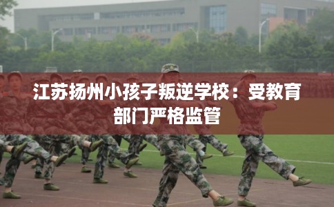 江苏扬州小孩子叛逆学校：受教育部门严格监管