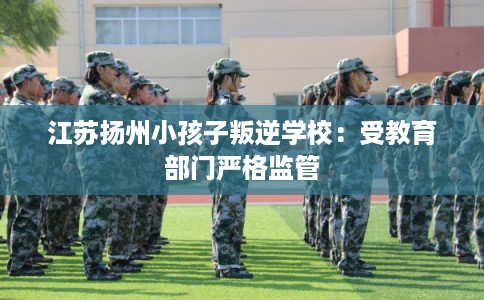 江苏扬州小孩子叛逆学校：受教育部门严格监管