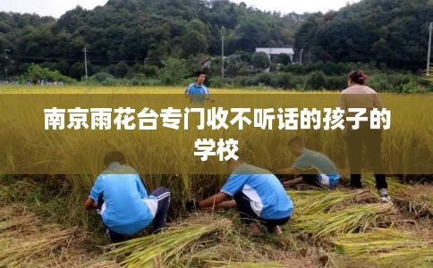 南京雨花台专门收不听话的孩子的学校
