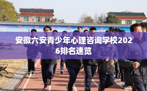 安徽六安青少年心理咨询学校2026排名速览 安徽六安青少年心理咨询学校2026排名速览