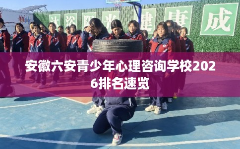 安徽六安青少年心理咨询学校2026排名速览 安徽六安青少年心理咨询学校2026排名速览