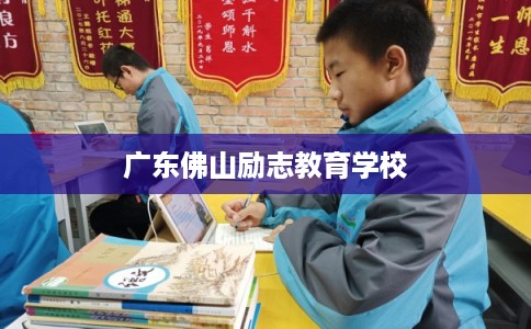 广东佛山励志教育学校