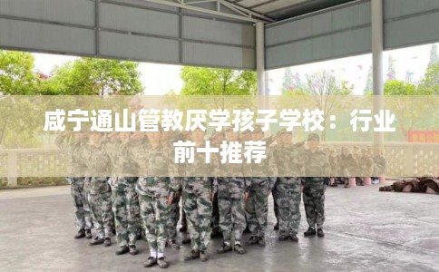 咸宁通山管教厌学孩子学校：行业前十推荐
