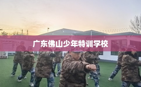 广东佛山少年特训学校 广东佛山少年特训学校