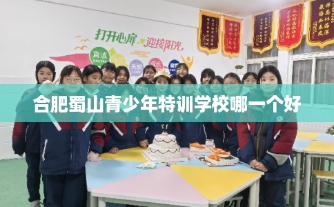 合肥蜀山青少年特训学校哪一个好